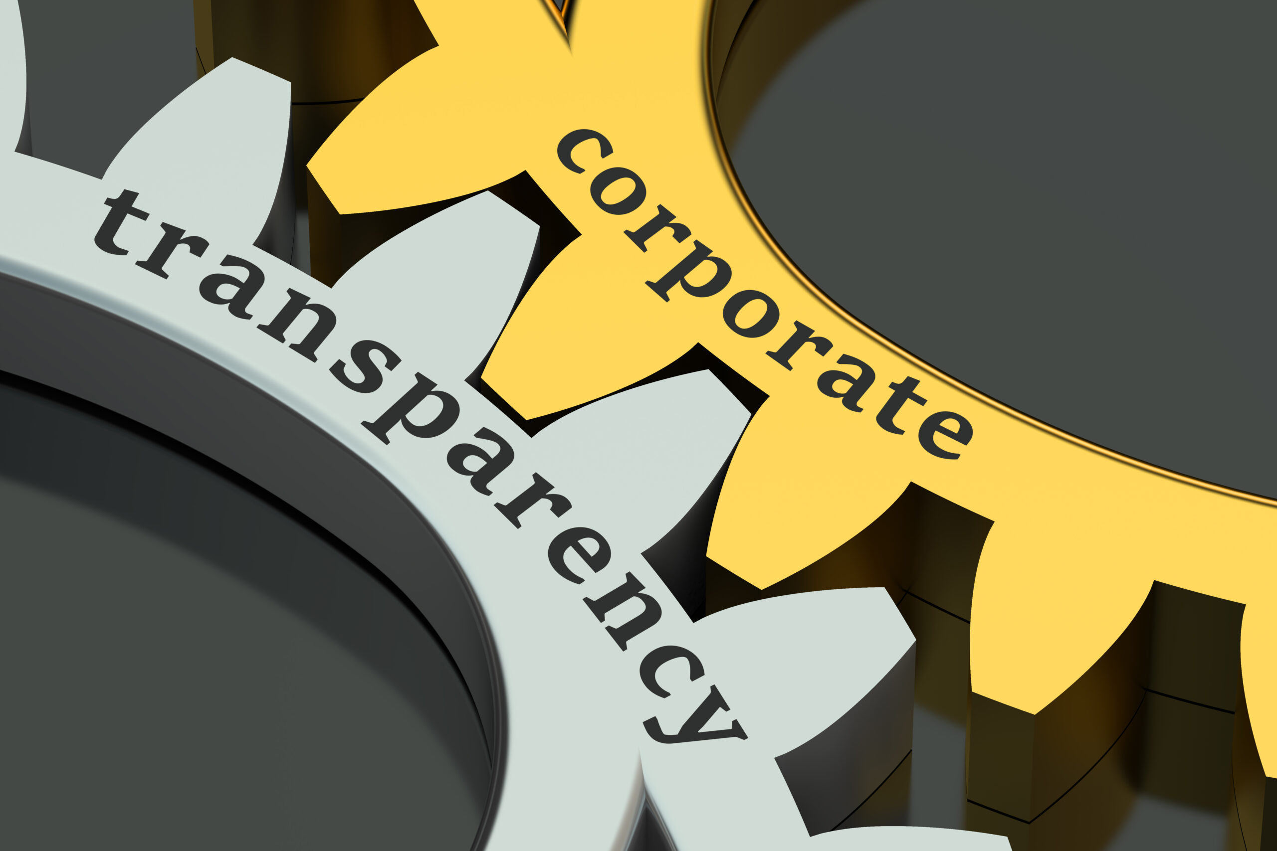 Corporate Transparency Act Will Begin In 2024 Sabra Melisa
