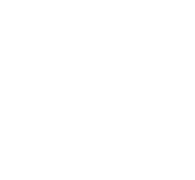 Chambers Global 2024 Badge